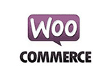 wordpress+woocommerce